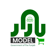 Model Bazaar logo